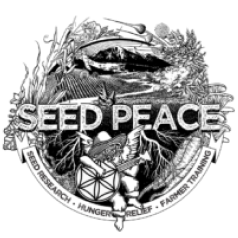 Speed Peace